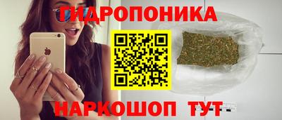 амф Гай