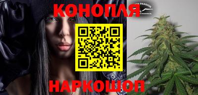 PSILOCYBIN Гатчина