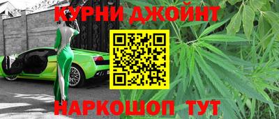 PSILOCYBIN Гатчина
